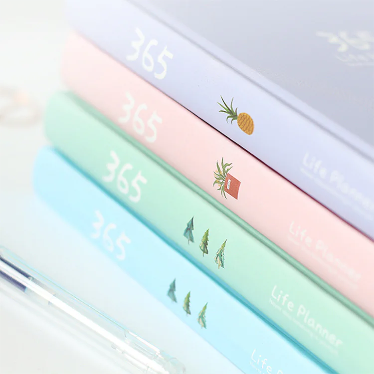 Minimalist 365 Planner Notebook with Colorful Pages
